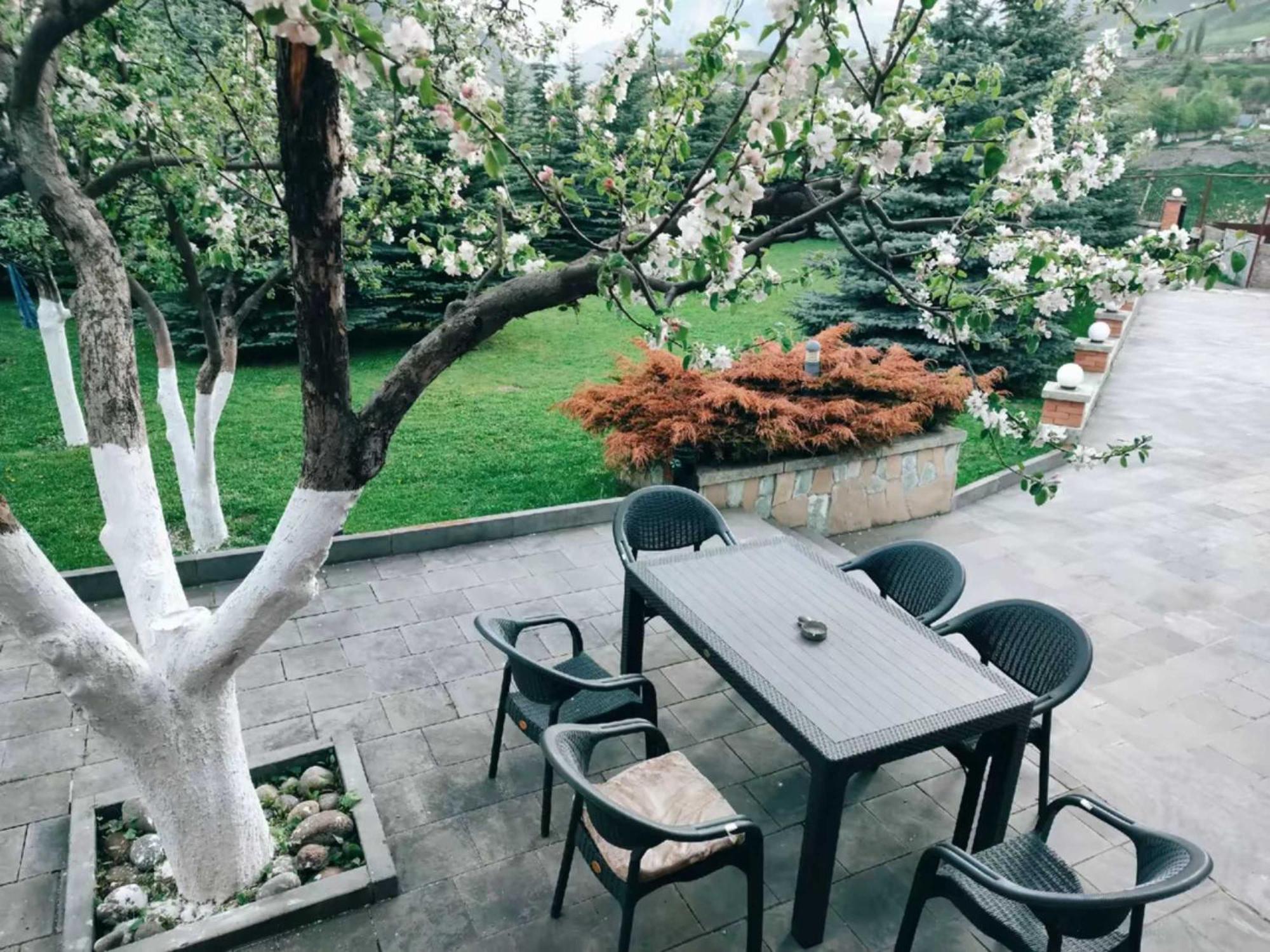 Vardisubani Villa Stepancminda Zewnętrze zdjęcie
